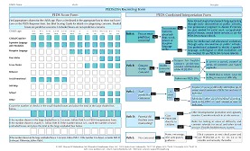 A PEDS:DM Recording Form with Workflow Diagram